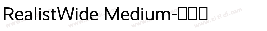 RealistWide Medium字体转换
